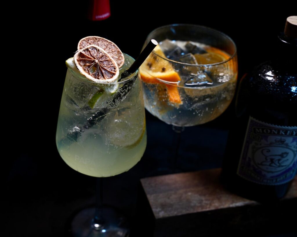 papa-ito-cocktail-gin-tonic